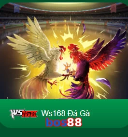 bos88